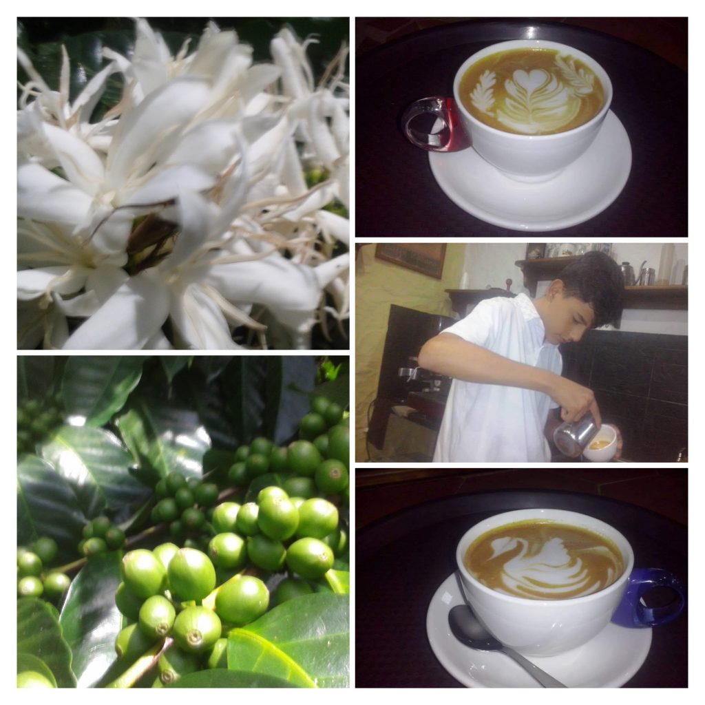 Caroai Café es cultura e historia