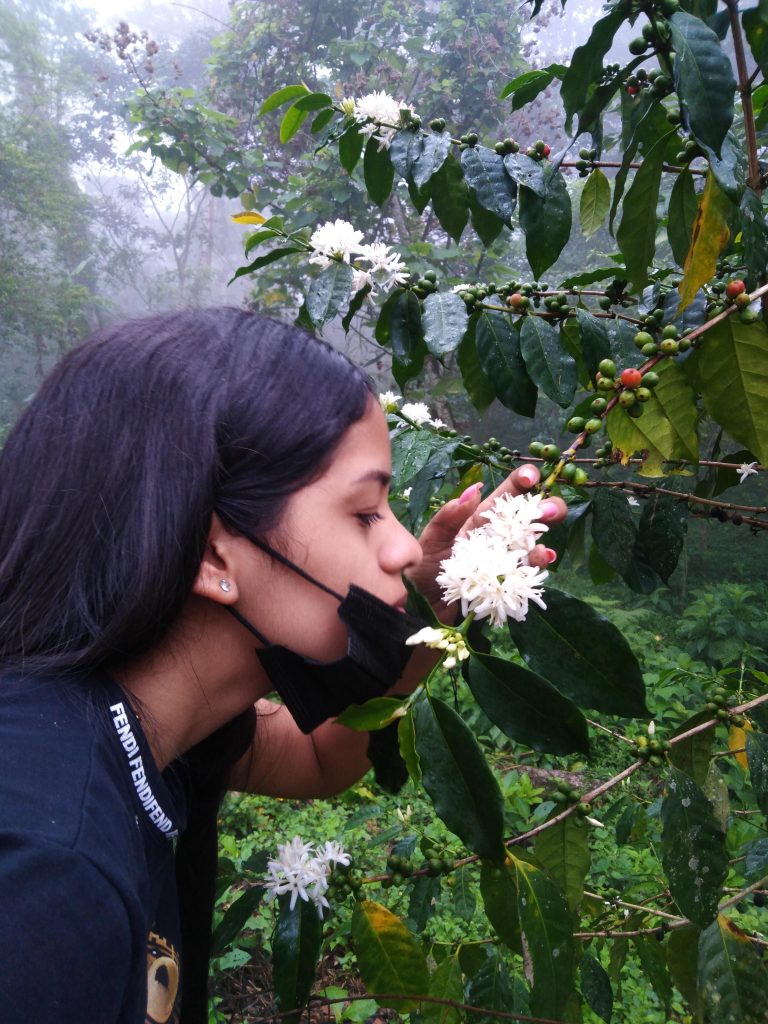 Chica oliendo flores de café - la percepción del mundo a través del olfato