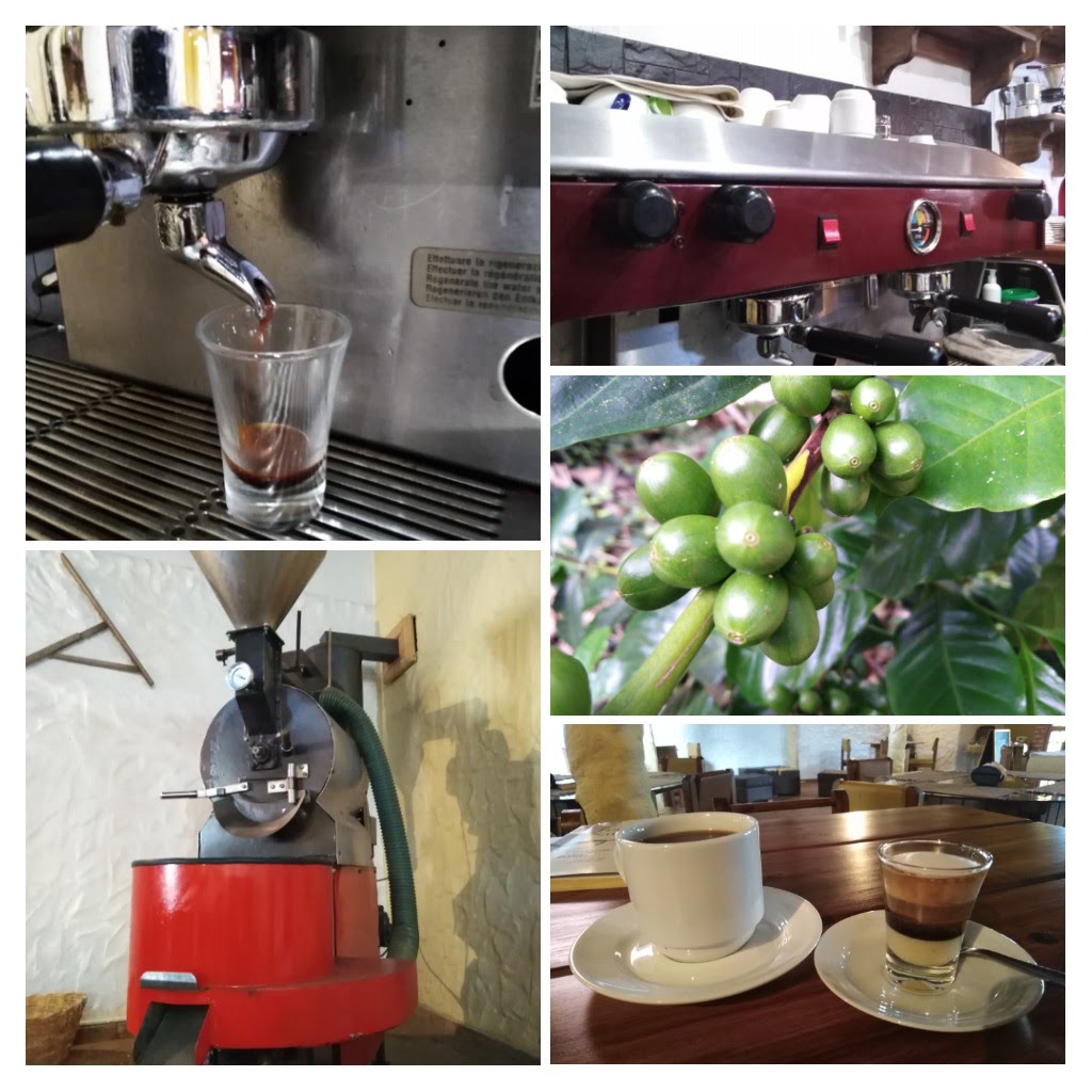 El café de consumo está destinado para el consumo masivo y el café especial, para un pequeño segmento del mercado de consumo de café.