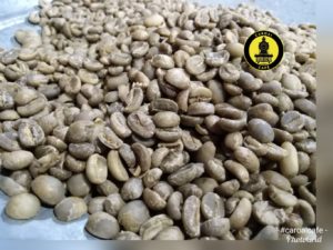 Cafe verde, también llamado en azul o café oro, en este estado se fija su precio como materia prima. Uno de los factores para conocer cuanto cuesta un kilo de café tostado.