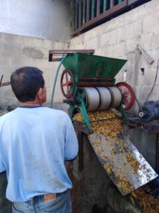 Máquina despulpadora de café