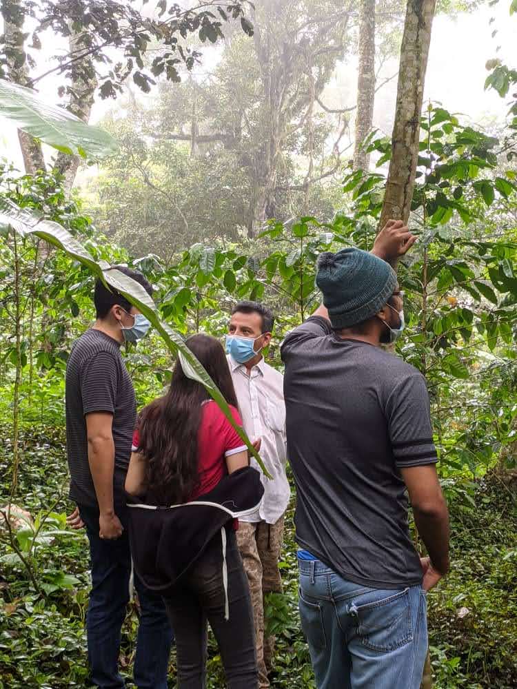 En el cultivo viviendo una experiencia de turismo y café.