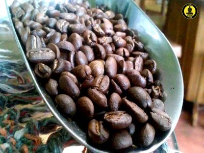 Café tostado en grano de Caroai Café