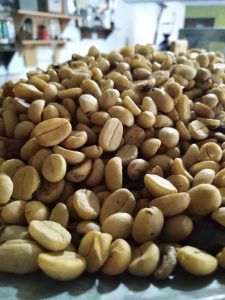 Café en pergamino seco procesado con Lavado