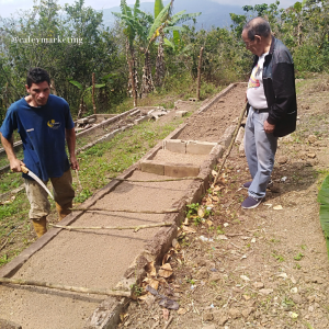 Desinfección en actividades agrícolas y pecuarias: germinador de café.