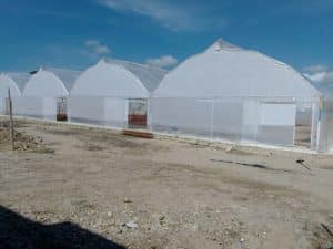 Invernaderos o casas de cultivo para el desarrollo de agricultura.